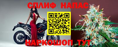 винт Гатчина