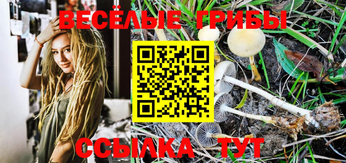 Псилоцибиновые грибы GOLDEN TEACHER Волжский