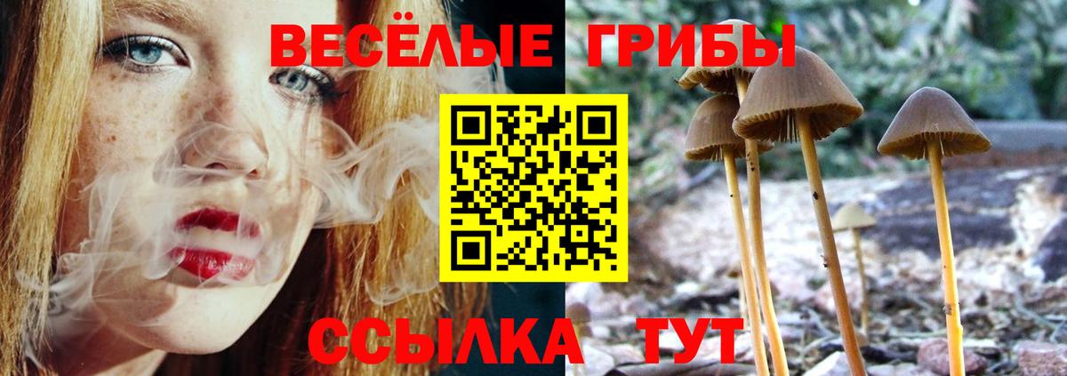 Псилоцибиновые грибы MAGIC MUSHROOMS  как найти закладки  Волжский  Галлюциногенные грибы Magic Shrooms 
