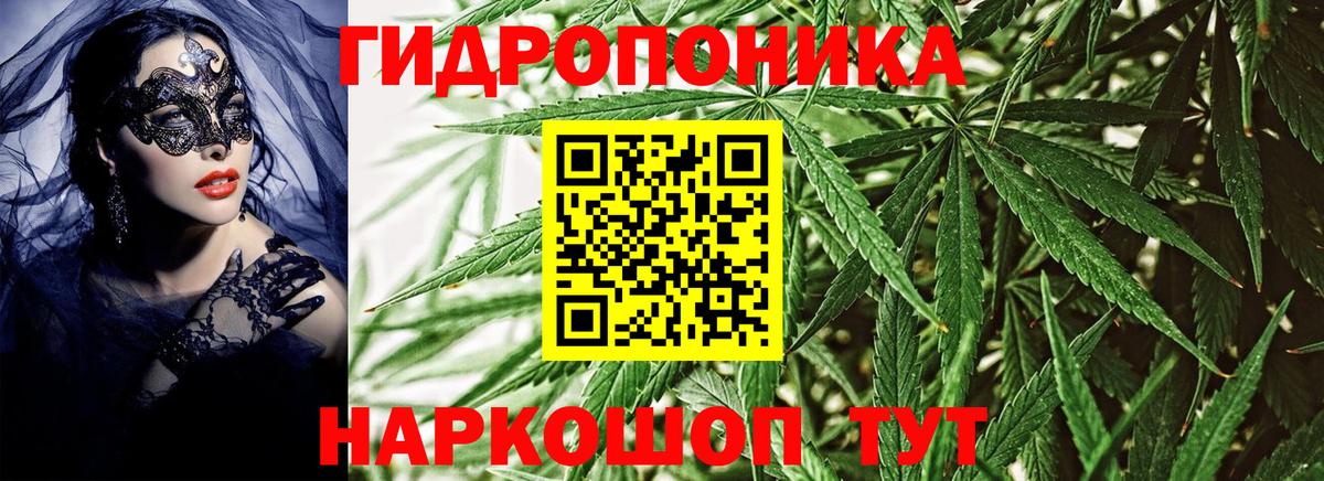 Волжский  Бошки Шишки LSD WEED  Канабис AK-47  Вход с VPN  Каннабис планчик 